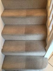 carpet cleaning cirencester