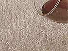 Stain Guard carpets, rugs, upholstery